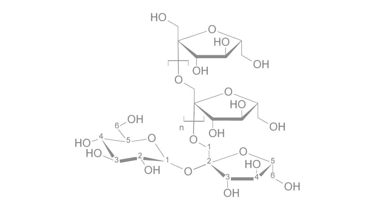 Inulina