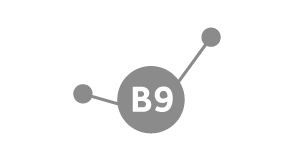 Acido Folico o Vitamina B9