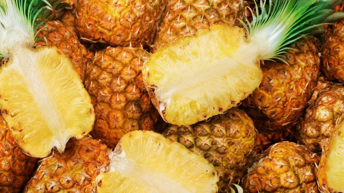Ananas comosus: dal gambo si estrae la bromelina, enzima naturale