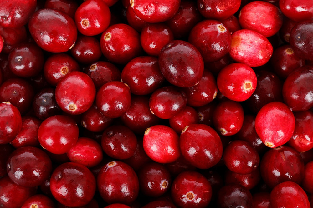 Cranberry (Vaccinium macrocarpon Aiton)
