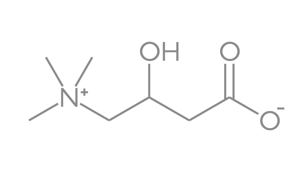 Carnitina