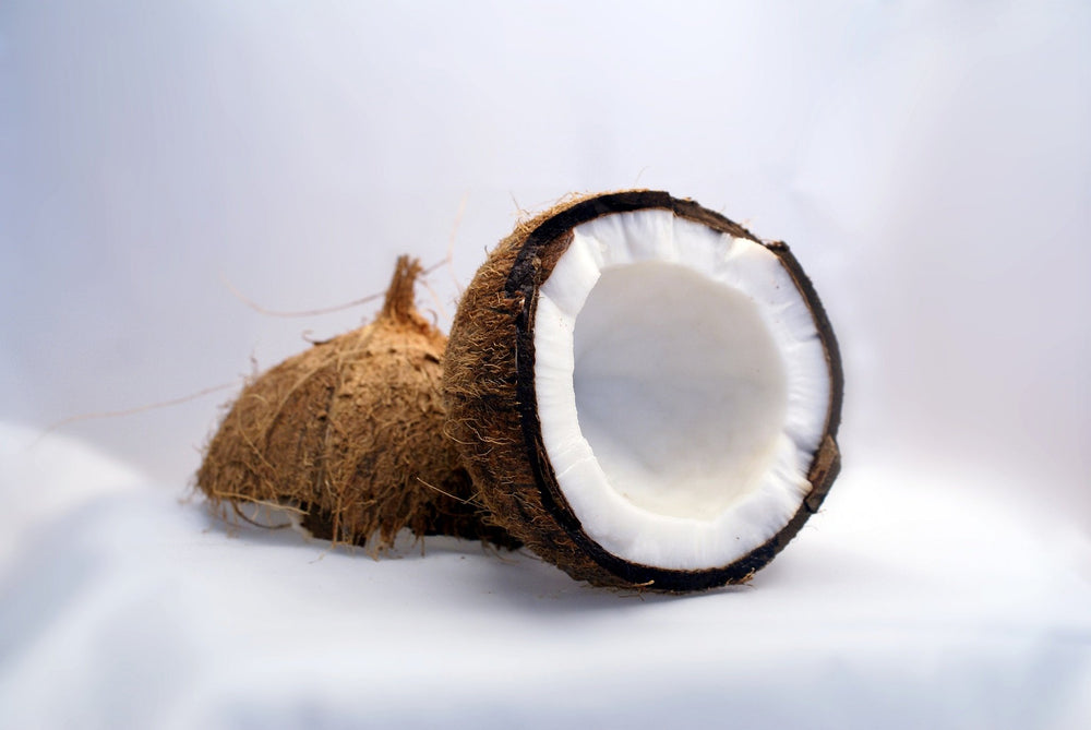 Olio di Cocco (Cocos Nucifera Oil)