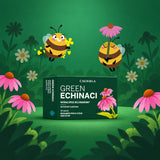 Green Echinaci