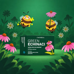 Green Echinaci