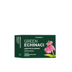 Green Echinaci