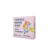 Piombaggine (Cerato) RP