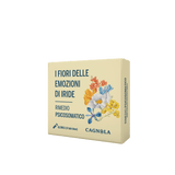 Agrifoglio (Holly) RP