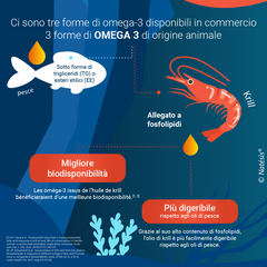 Olio di Krill