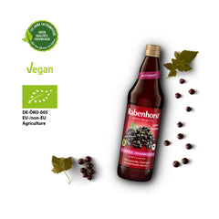 Succo madre di Ribes Nero Bio