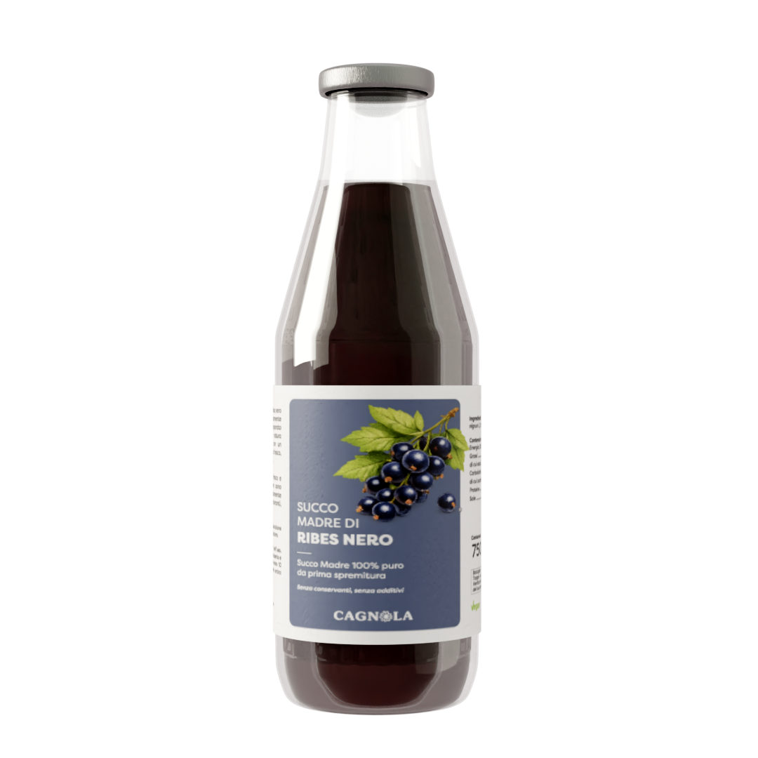 Succo Madre di Ribes Nero