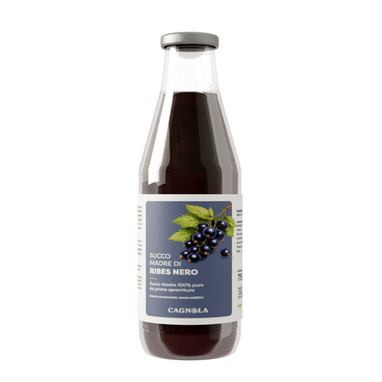 Succo Madre di Ribes Nero