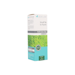 Arya Laya Oliobagno Equiseto