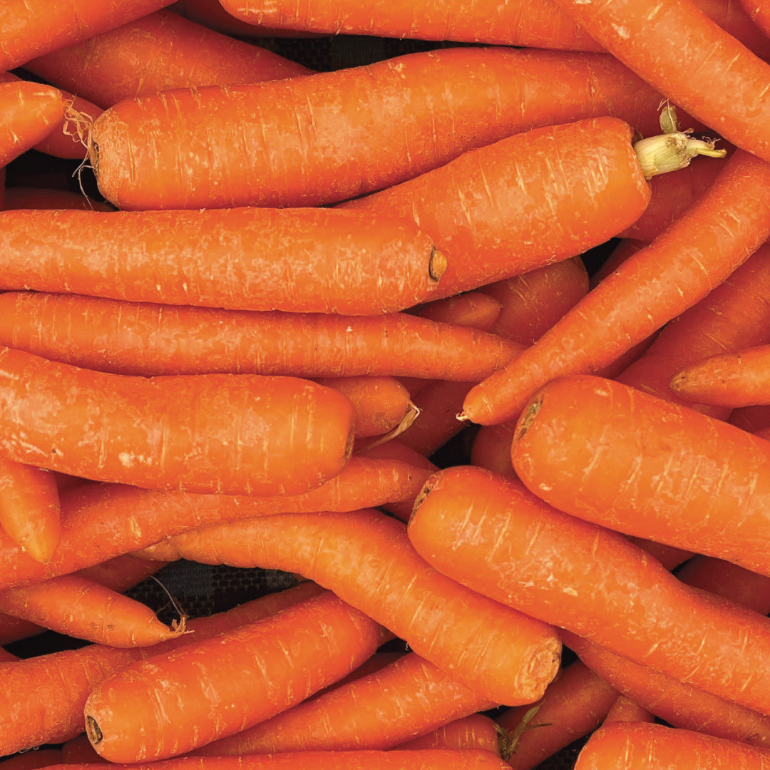 Succo Madre di Carota Bio