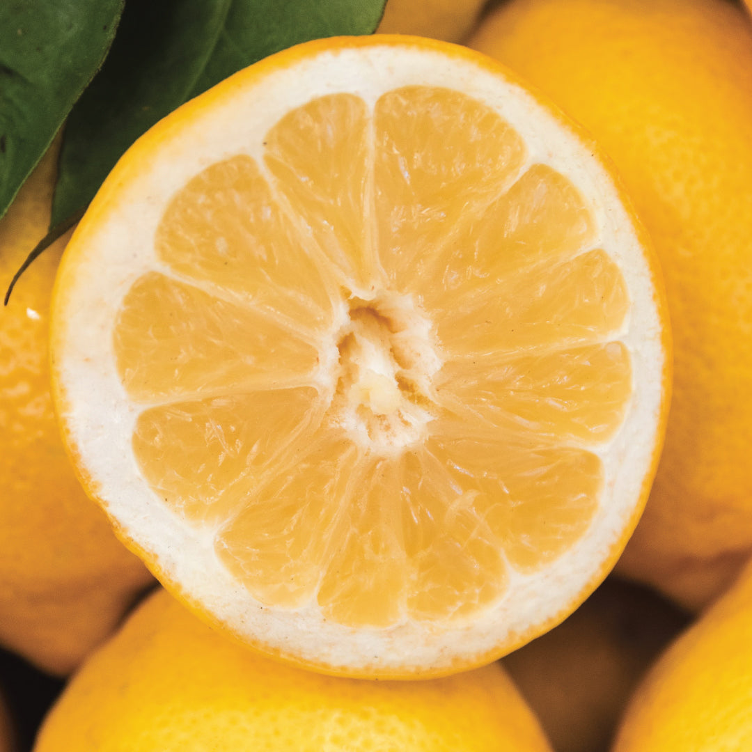 Succo Madre di Limone