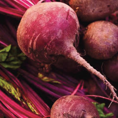 Succo Madre di Barbabietola Bio