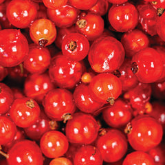 Succo Madre di Cranberry Bio