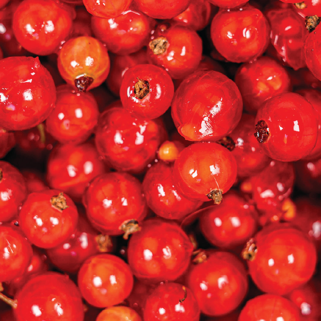 Succo Madre di Cranberry Bio