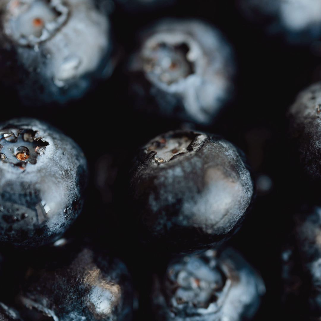 Succo Madre di Mirtillo Nero