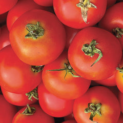 Succo Madre di Pomodoro Bio