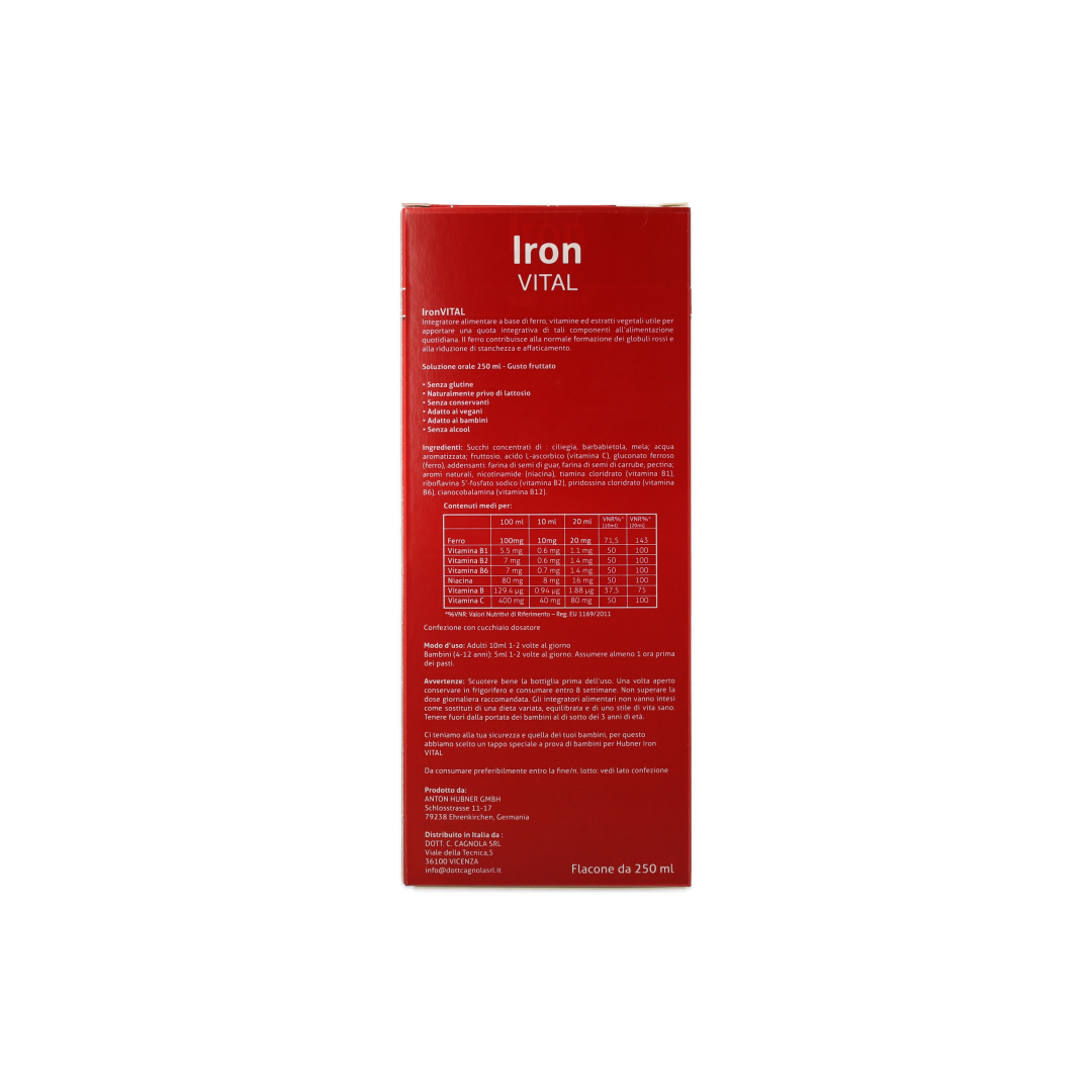 4010160431688_HUBNER IRON VITAL 250ML (RI00343)_4