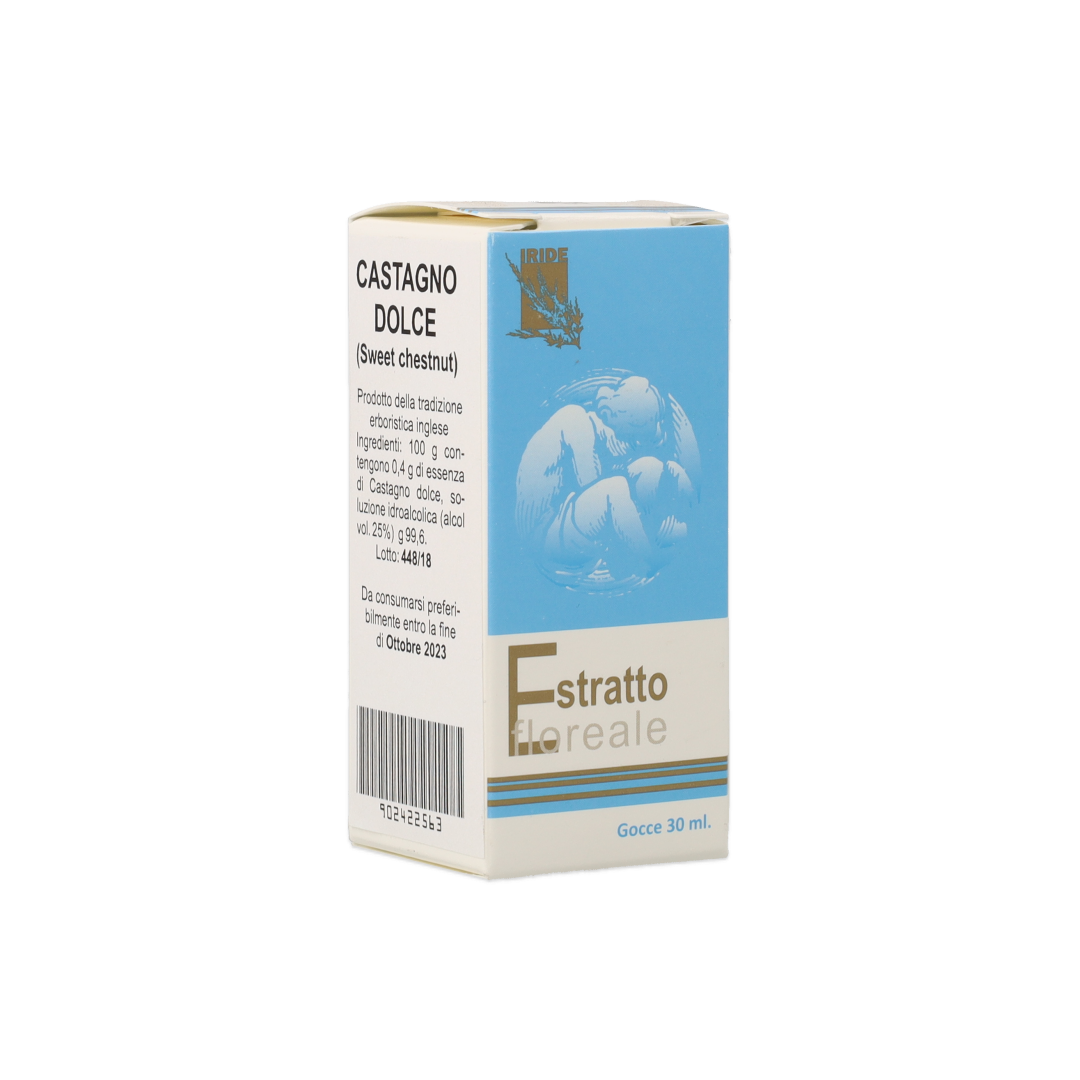 902422563_Castagno Dolce (Sweet Chestnut) Estratto Floreale_1