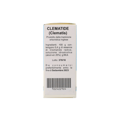 902422904_Clematide (Clematis) Estratto Floreale_5