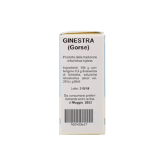 902423627_Ginestra (Gorse) Estratto Floreale_5