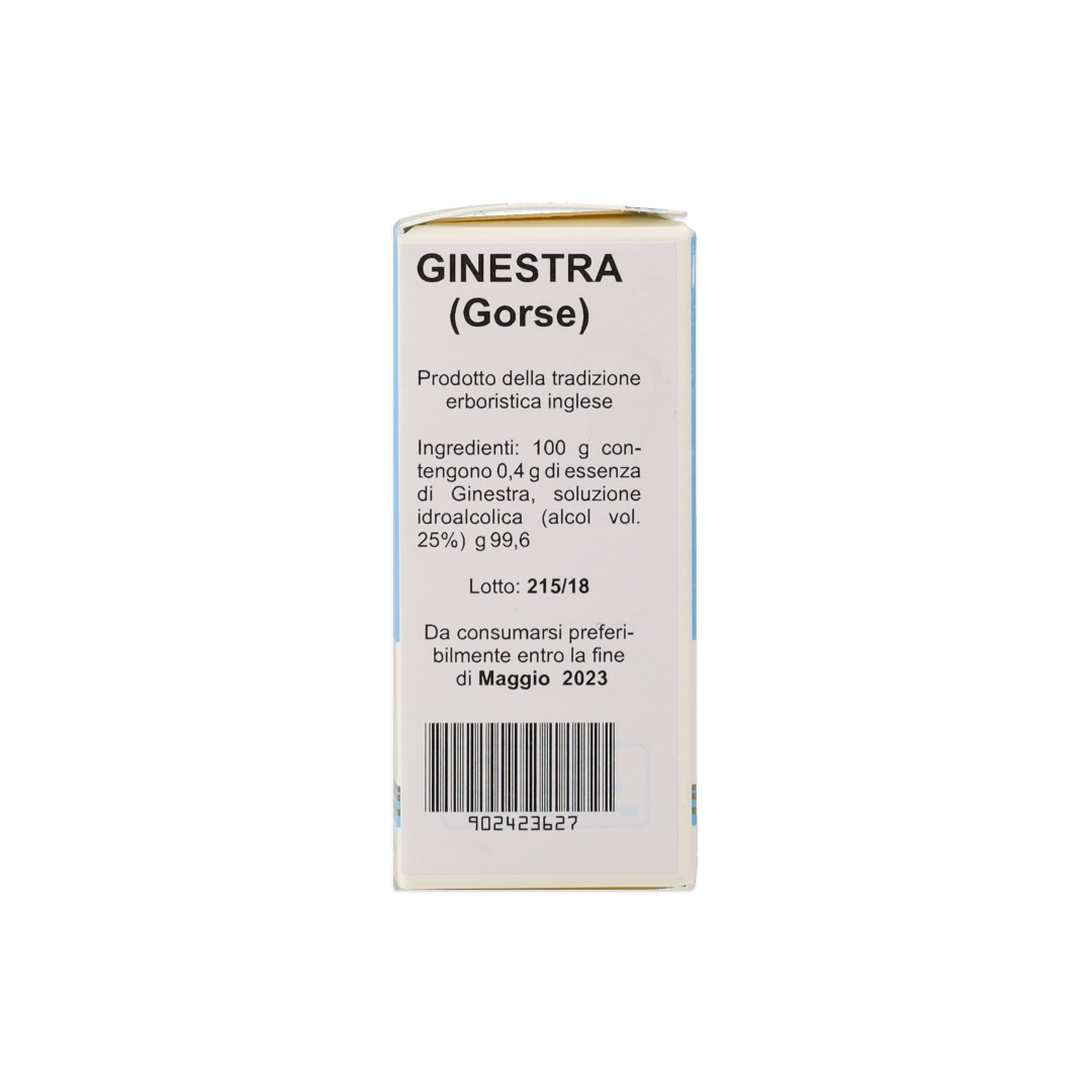 902423627_Ginestra (Gorse) Estratto Floreale_5