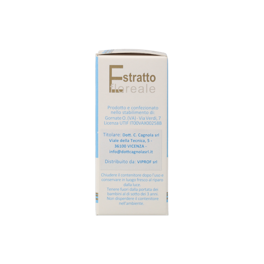 902423755_Olivo (Olive) Estratto Floreale_3