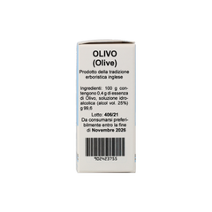 902423755_Olivo (Olive) Estratto Floreale_5
