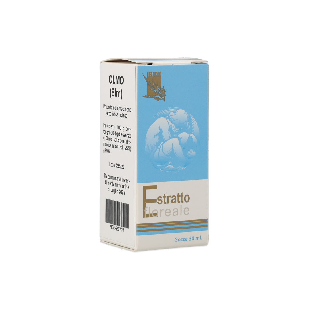 902423779_Olmo (Elm) Estratto Floreale_1
