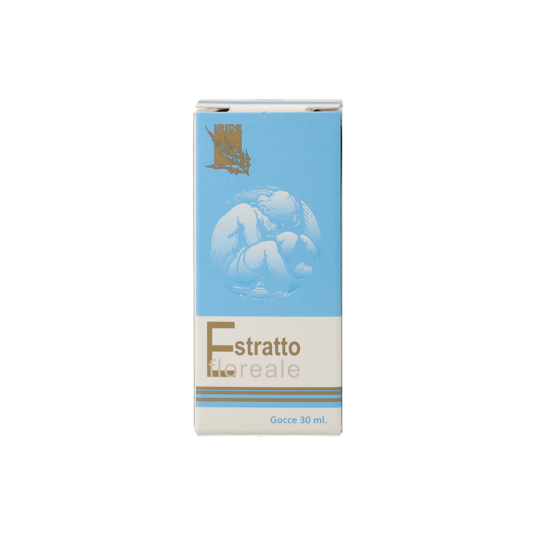 902423779_Olmo (Elm) Estratto Floreale_2