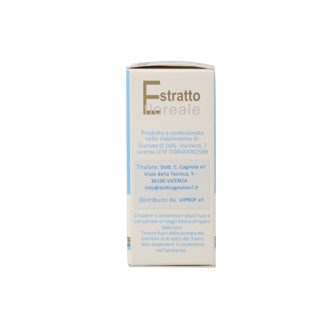 902423779_Olmo (Elm) Estratto Floreale_3