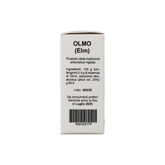 902423779_Olmo (Elm) Estratto Floreale_5