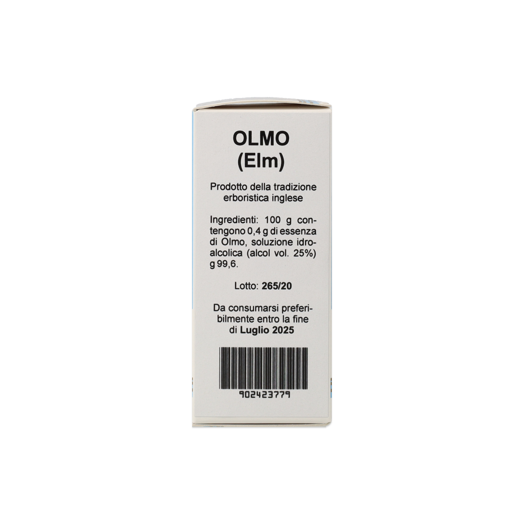 902423779_Olmo (Elm) Estratto Floreale_5