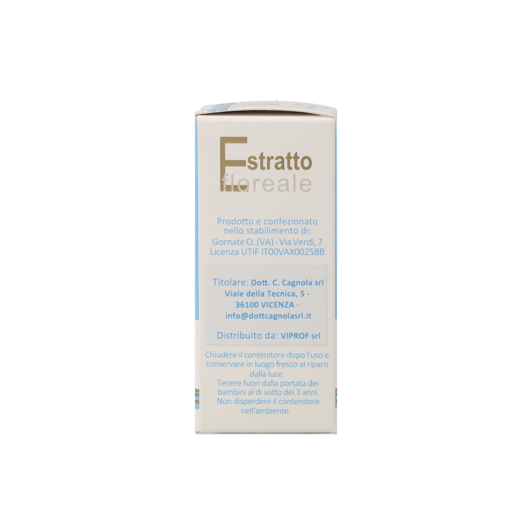 902424213_Stella Di Betlemme (Star Of Bethlehem) Estratto Floreale_3