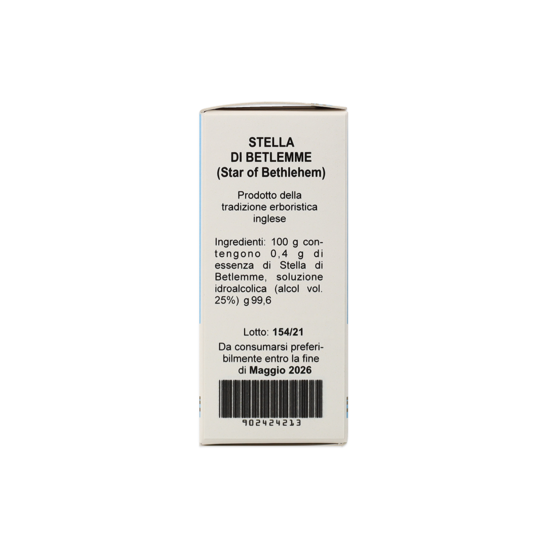 902424213_Stella Di Betlemme (Star Of Bethlehem) Estratto Floreale_5