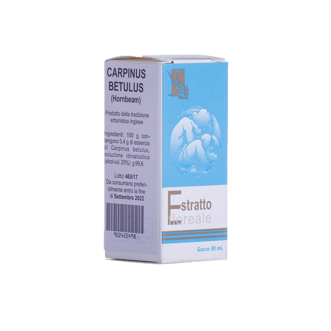 Carpino_estratto_floreale_1